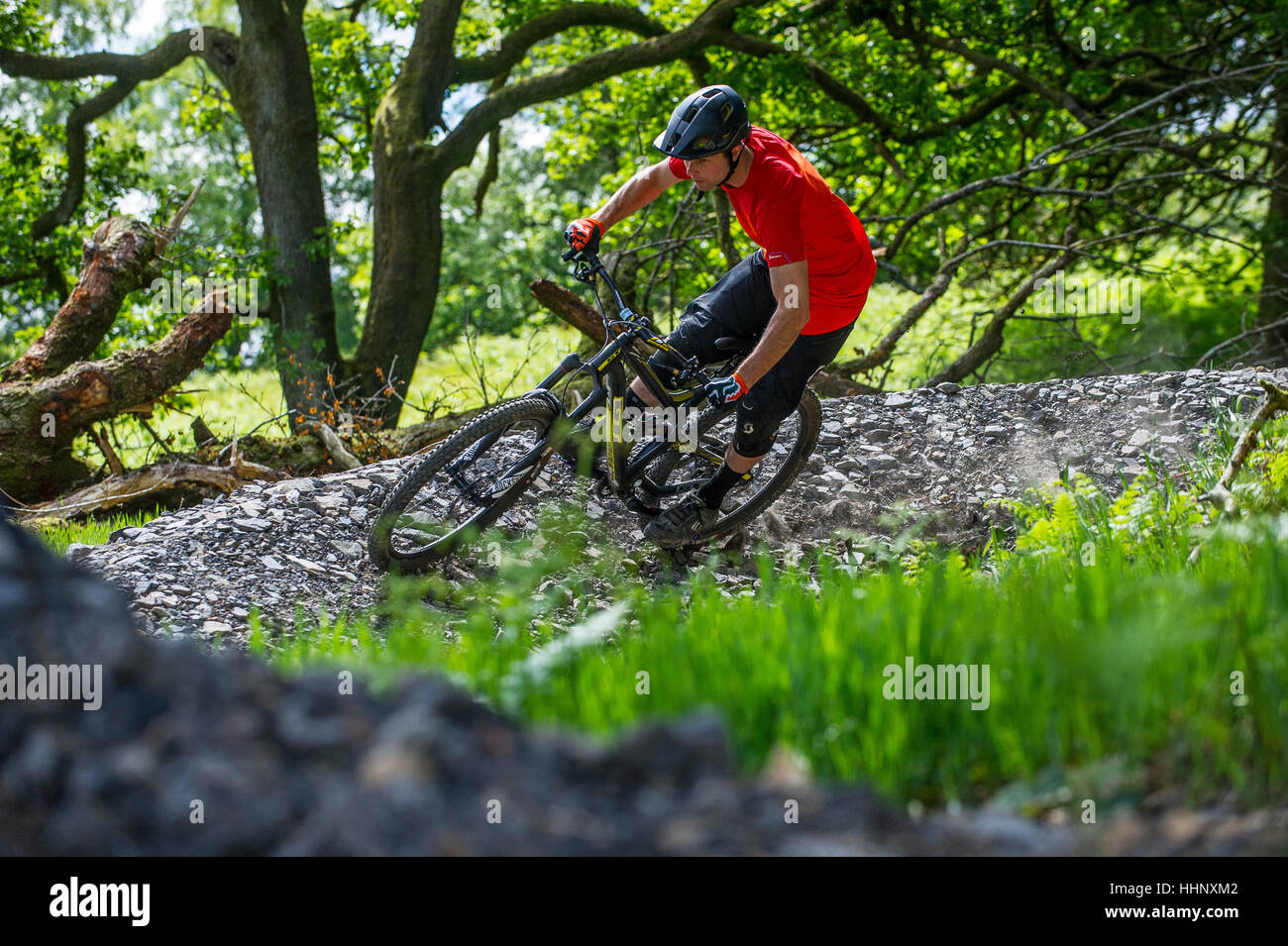 Un vélo de montagne monte un sentier au Bikepark de galles près de la ville de Merthyr Tydfil au Pays de Galles. Banque D'Images