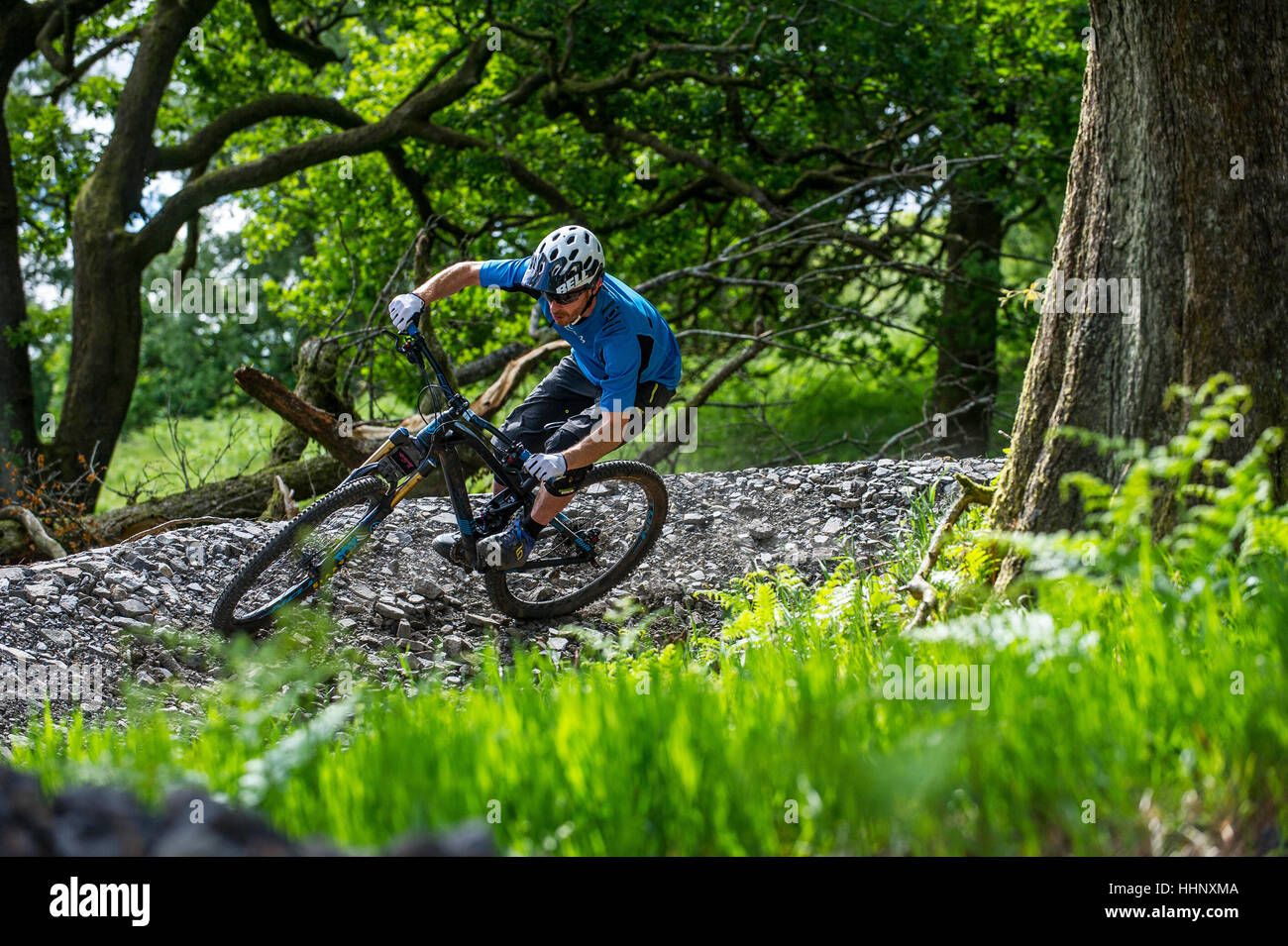 Un vélo de montagne monte un sentier au Bikepark de galles près de la ville de Merthyr Tydfil au Pays de Galles. Banque D'Images