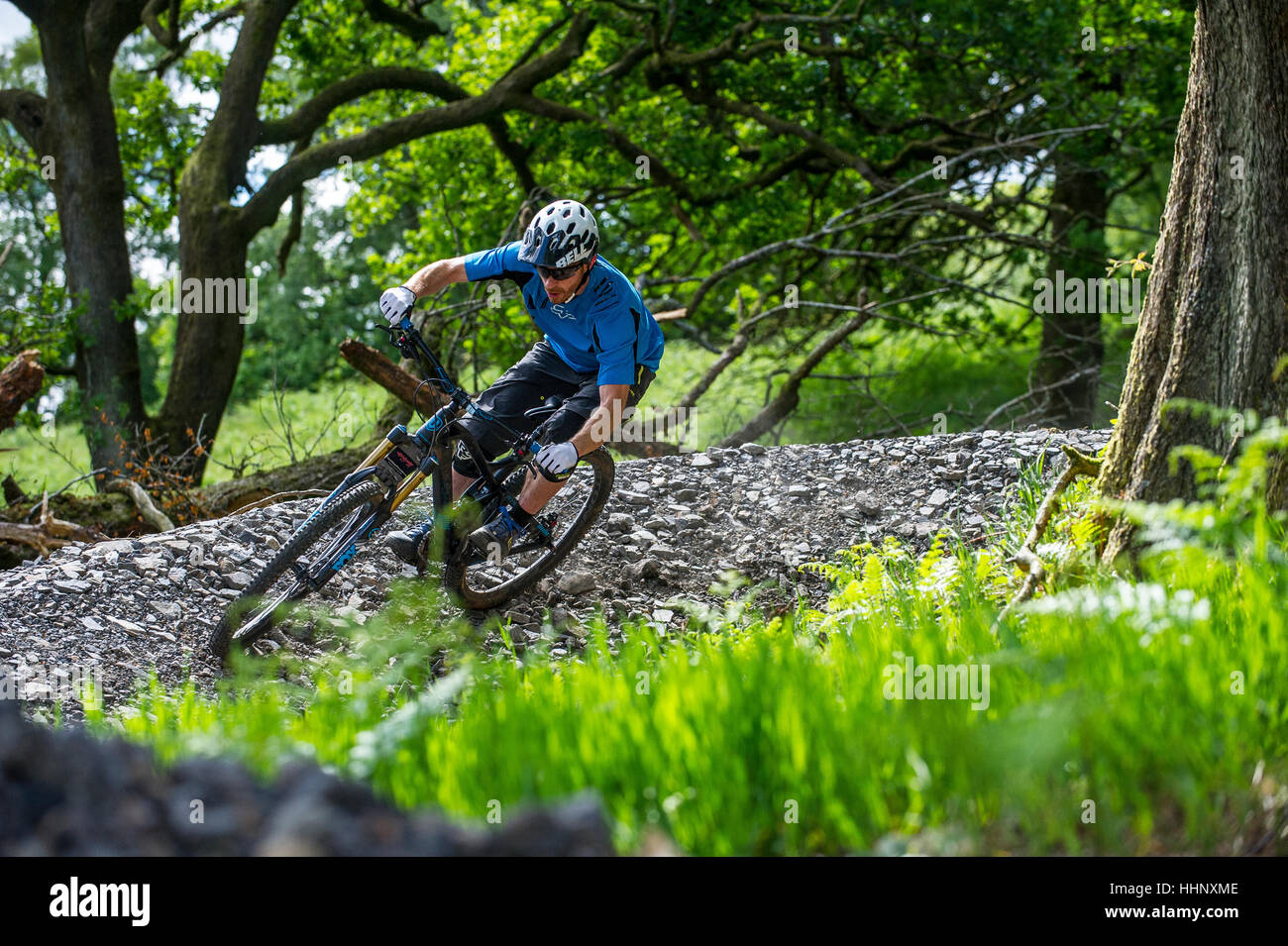 Un vélo de montagne monte un sentier au Bikepark de galles près de la ville de Merthyr Tydfil au Pays de Galles. Banque D'Images