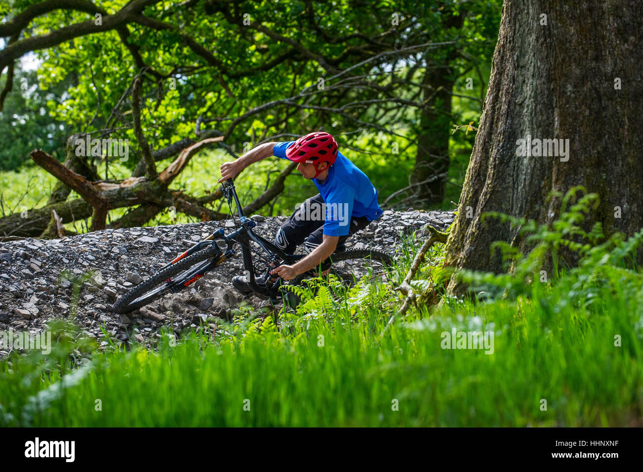 Un vélo de montagne monte un sentier au Bikepark de galles près de la ville de Merthyr Tydfil au Pays de Galles. Banque D'Images