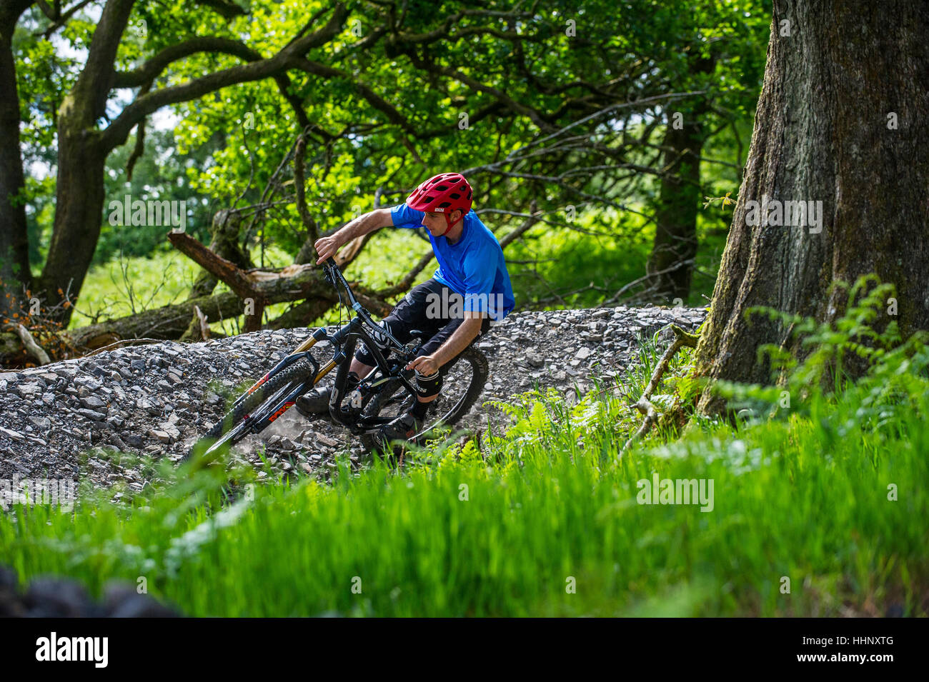 Un vélo de montagne monte un sentier au Bikepark de galles près de la ville de Merthyr Tydfil au Pays de Galles. Banque D'Images