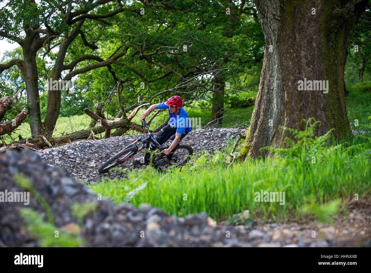 Un vélo de montagne monte un sentier au Bikepark de galles près de la ville de Merthyr Tydfil au Pays de Galles. Banque D'Images