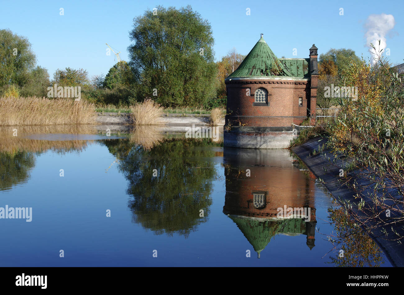 Arbre, arbres, plantes, inopérants, cottage, les moyens, l'adduction d'eau, bassin, bassin, Banque D'Images