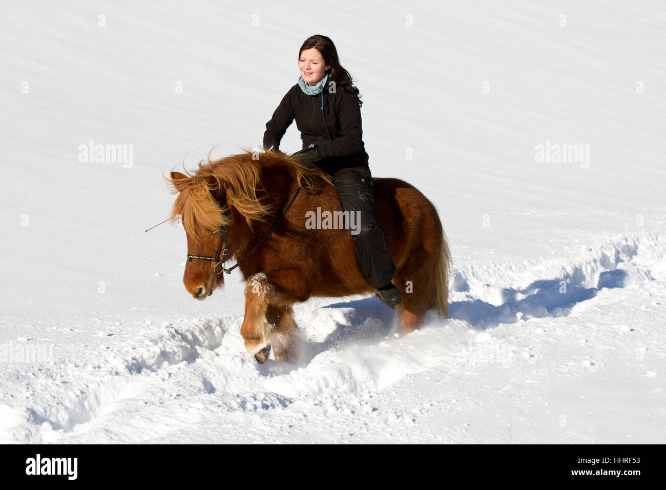 Rider dans la neige Banque D'Images