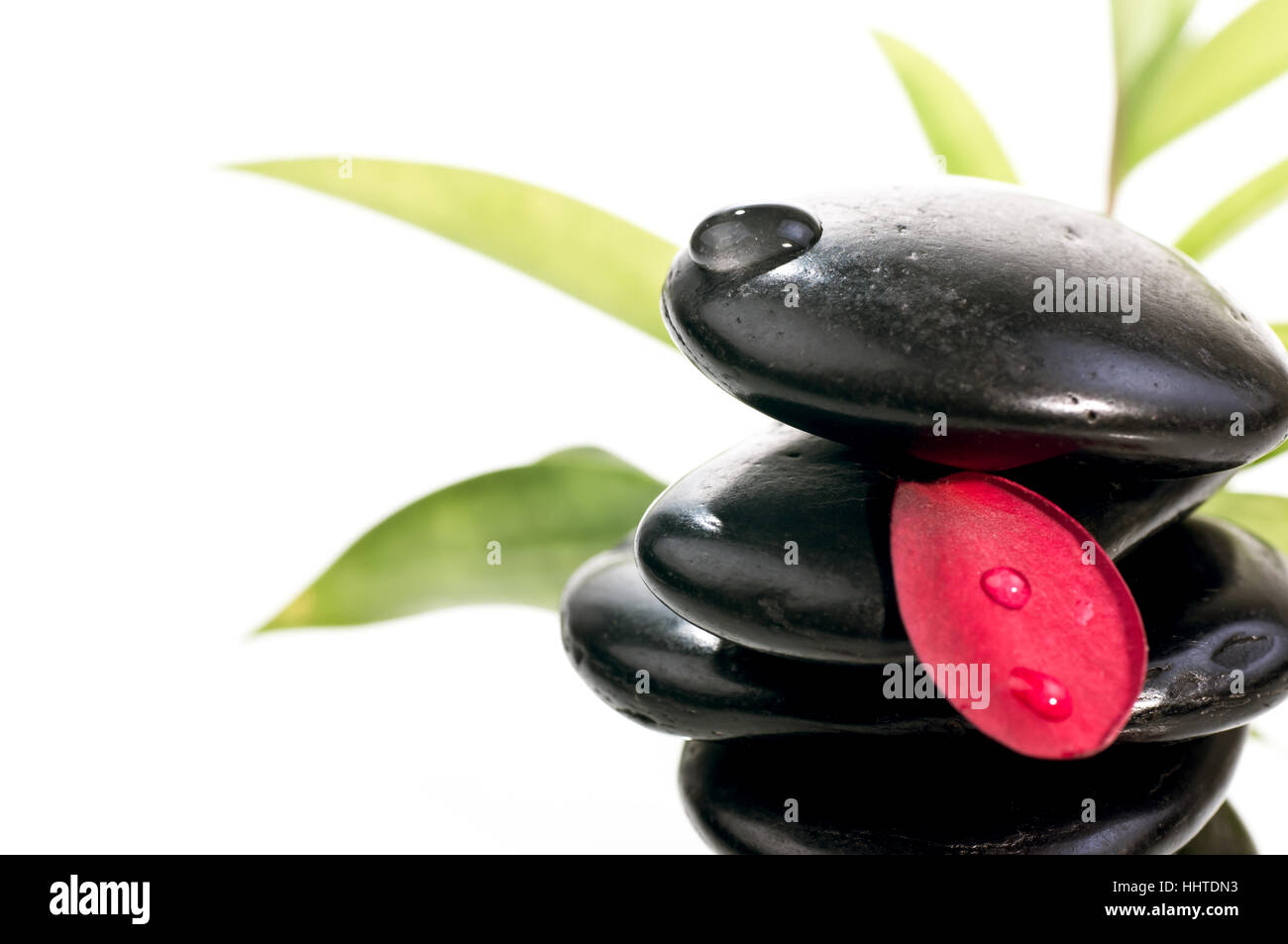 Pierre, plante, fleur, noir, de teint basané, jetblack, deep black, rock,  zen Photo Stock - Alamy