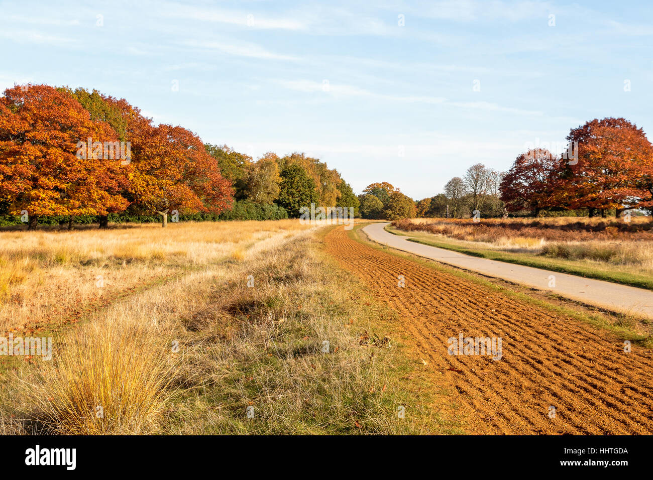 Scène d'automne à Richmond Park, Londres Banque D'Images