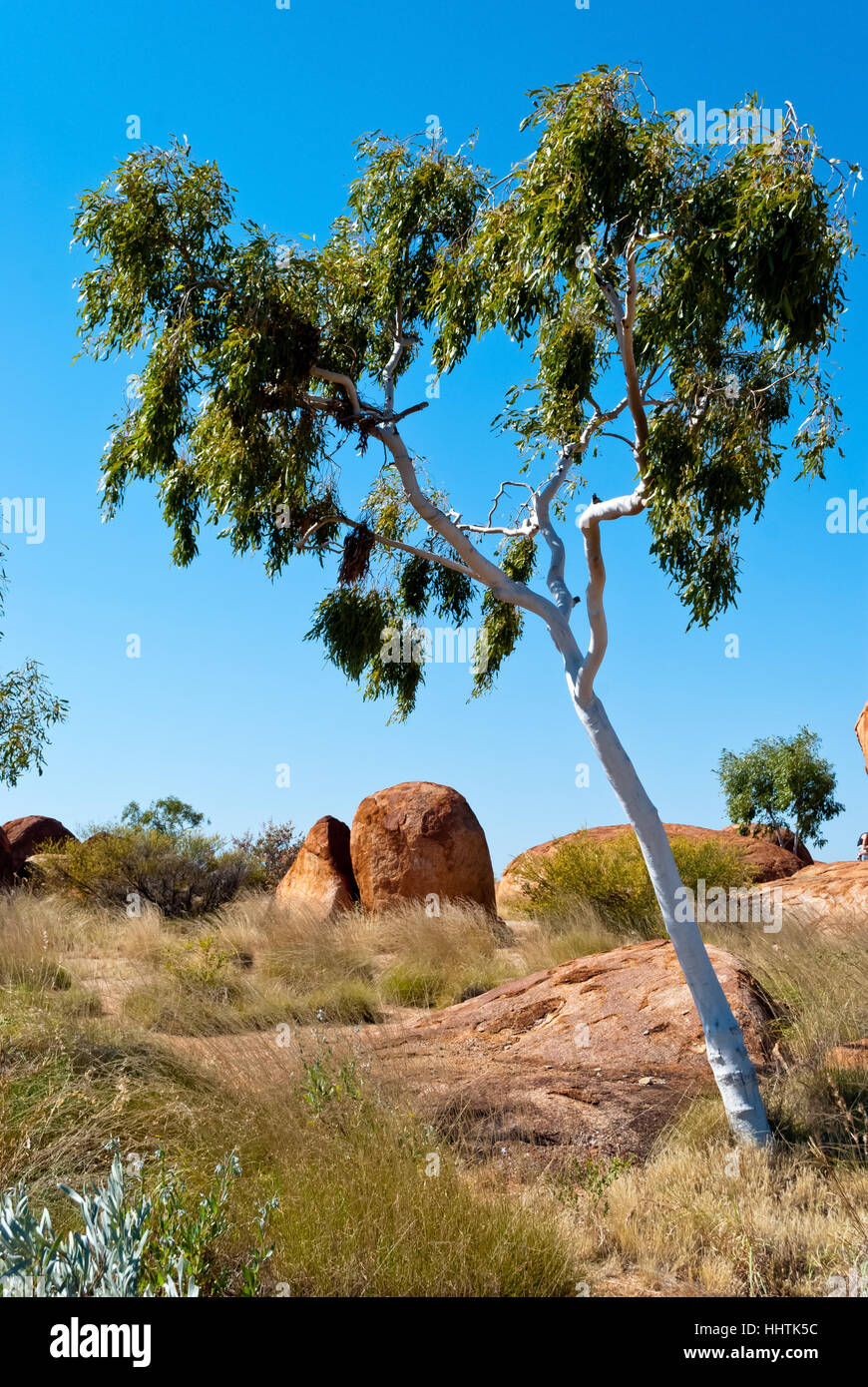 Nature sauvage près de Devils Marbles, Australie Banque D'Images