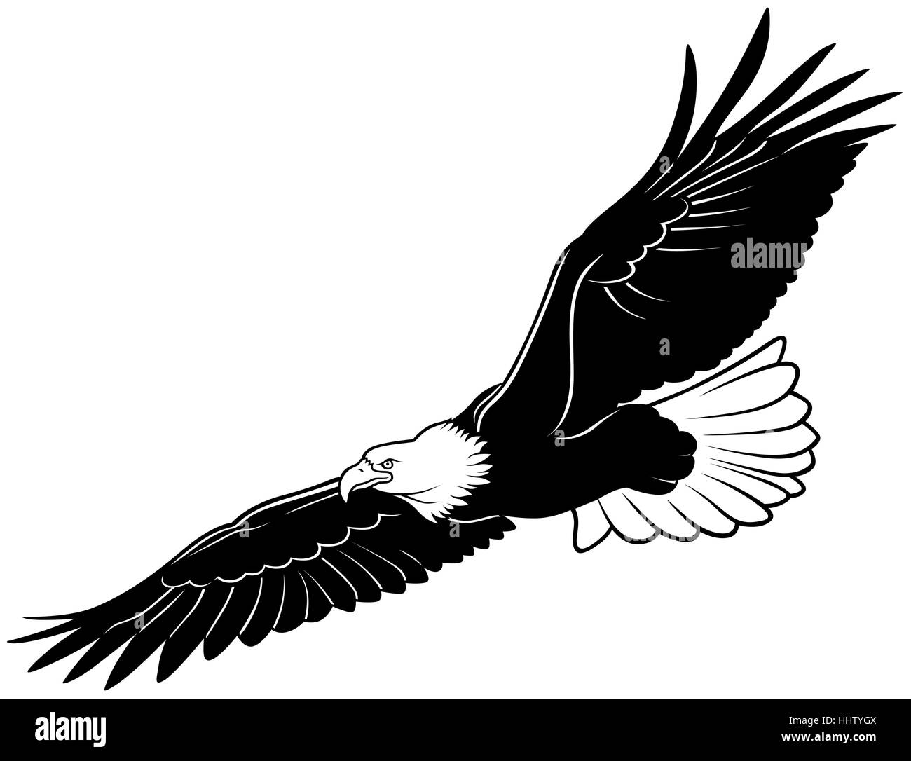 Pygargue à tête blanche volant Illustration de Vecteur