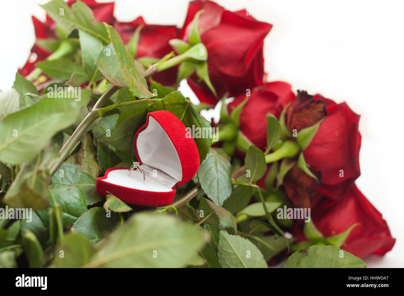 Bouquet de roses rouges avec une bague de fiançailles dans une boîte en  forme de coeur blanc sur fond isolé Photo Stock - Alamy