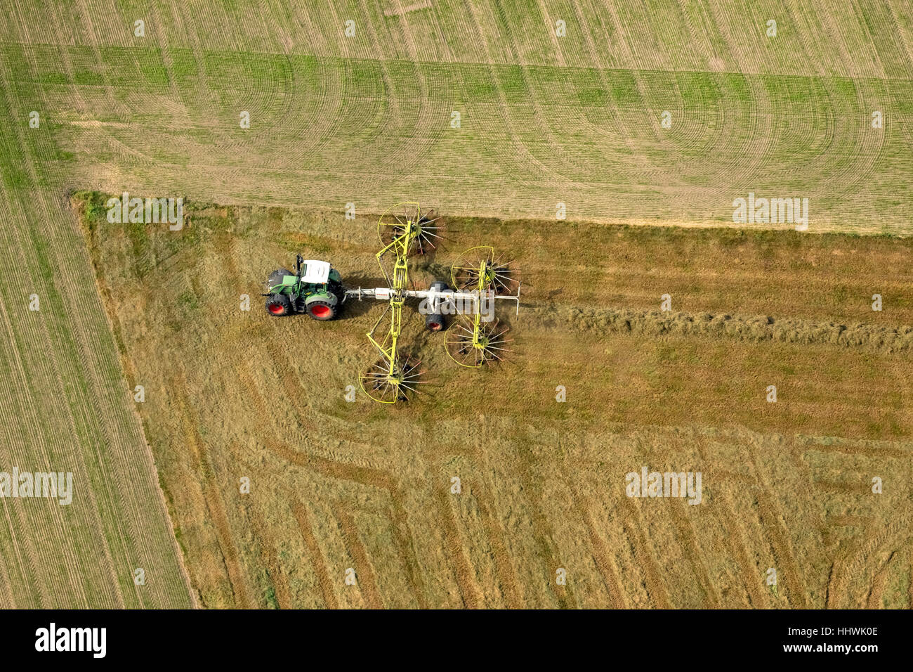 Tracteur avec des râteaux à foin, de l'agriculture, des champs, de la Ruhr, en Rhénanie du Nord-Westphalie, Allemagne Banque D'Images