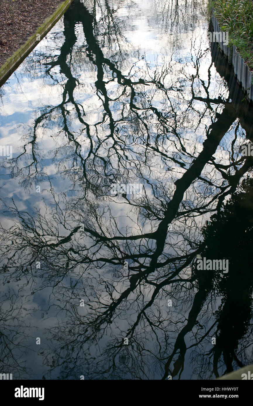 Hackney. Woodberry Down- Zones humides la réflexion Banque D'Images