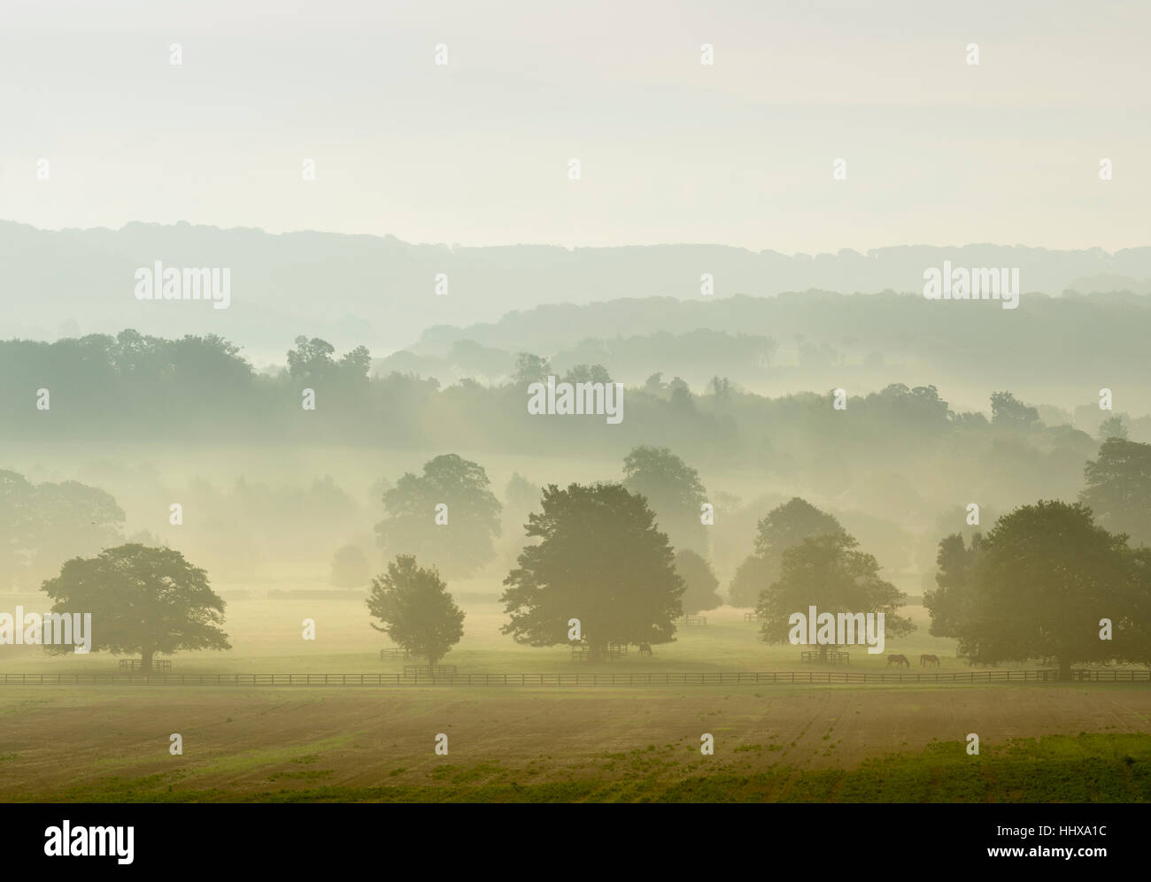 Les Kent Downs, une région d'une beauté naturelle nr Godmersham, Kent. Banque D'Images