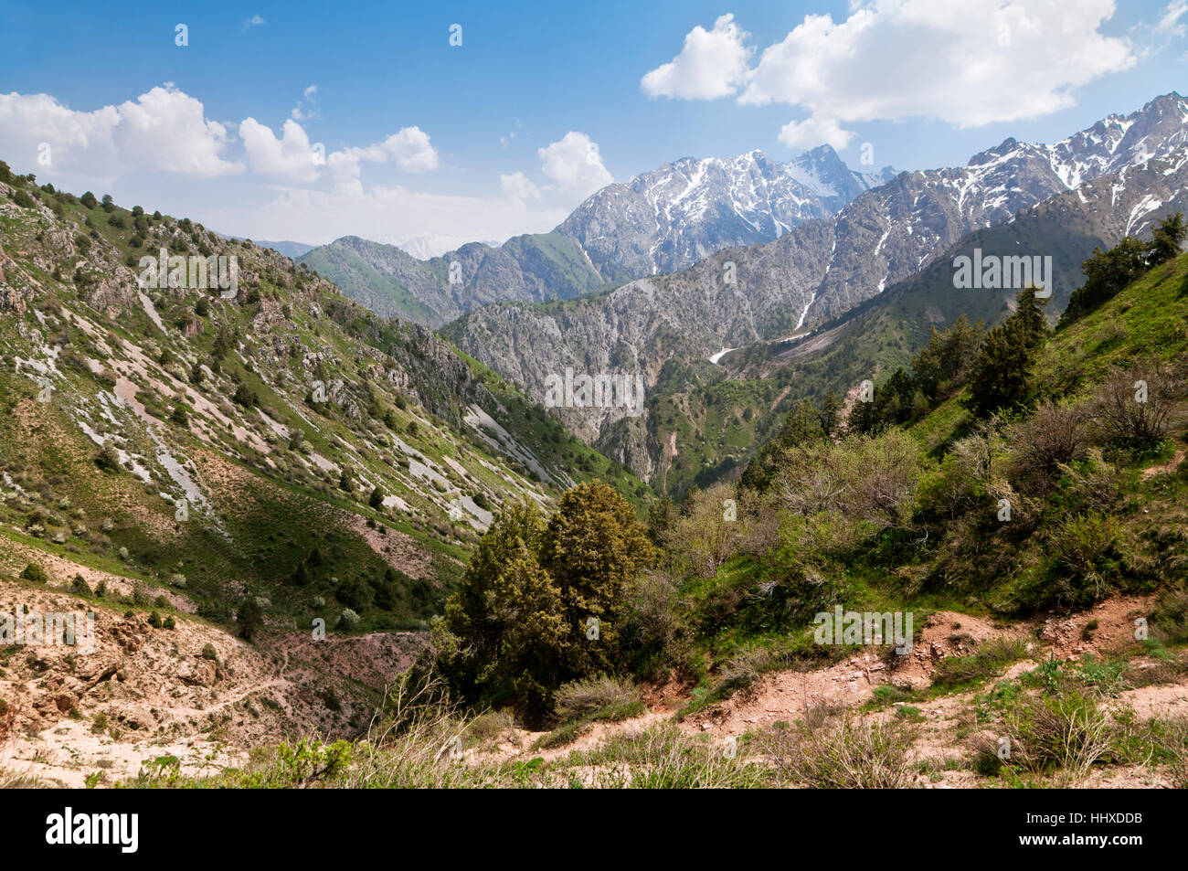 Montagnes, l'Ouzbékistan a Chimgan Banque D'Images