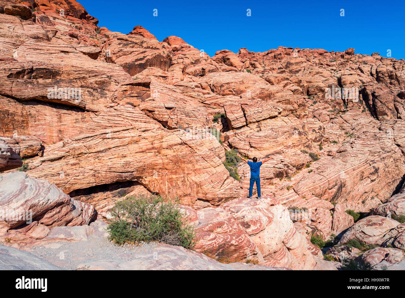 Homme adulte exprimant la liberté sur un rocher au Red Rock Canyon National Conservation Area, Las Vegas, Nevada, USA. Banque D'Images