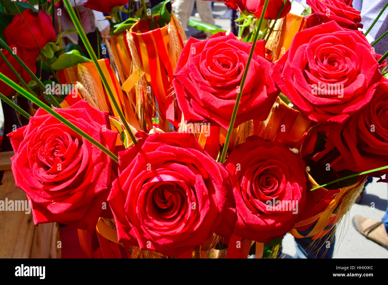 Roses rouges et le drapeau catalan. Sant Jordi, le Saint Georges 24. Barcelone, Catalogne, Espagne Banque D'Images