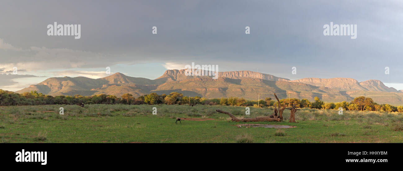 Vue panoramique d'une chaîne de montagnes dans le parc national de Marakele, Afrique du Sud Banque D'Images