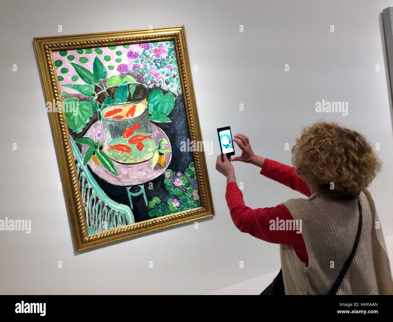 Visiteur utilise un smartphone pour photographier le tableau le poisson rouge (1911) par le peintre français Henri Matisse Icônes présentés à l'exposition d'Art Moderne de la Collection Chtchoukine) par la Fondation Louis Vuitton à Paris, France. L'exposition est présentée jusqu'au 5 mars 2017. Banque D'Images