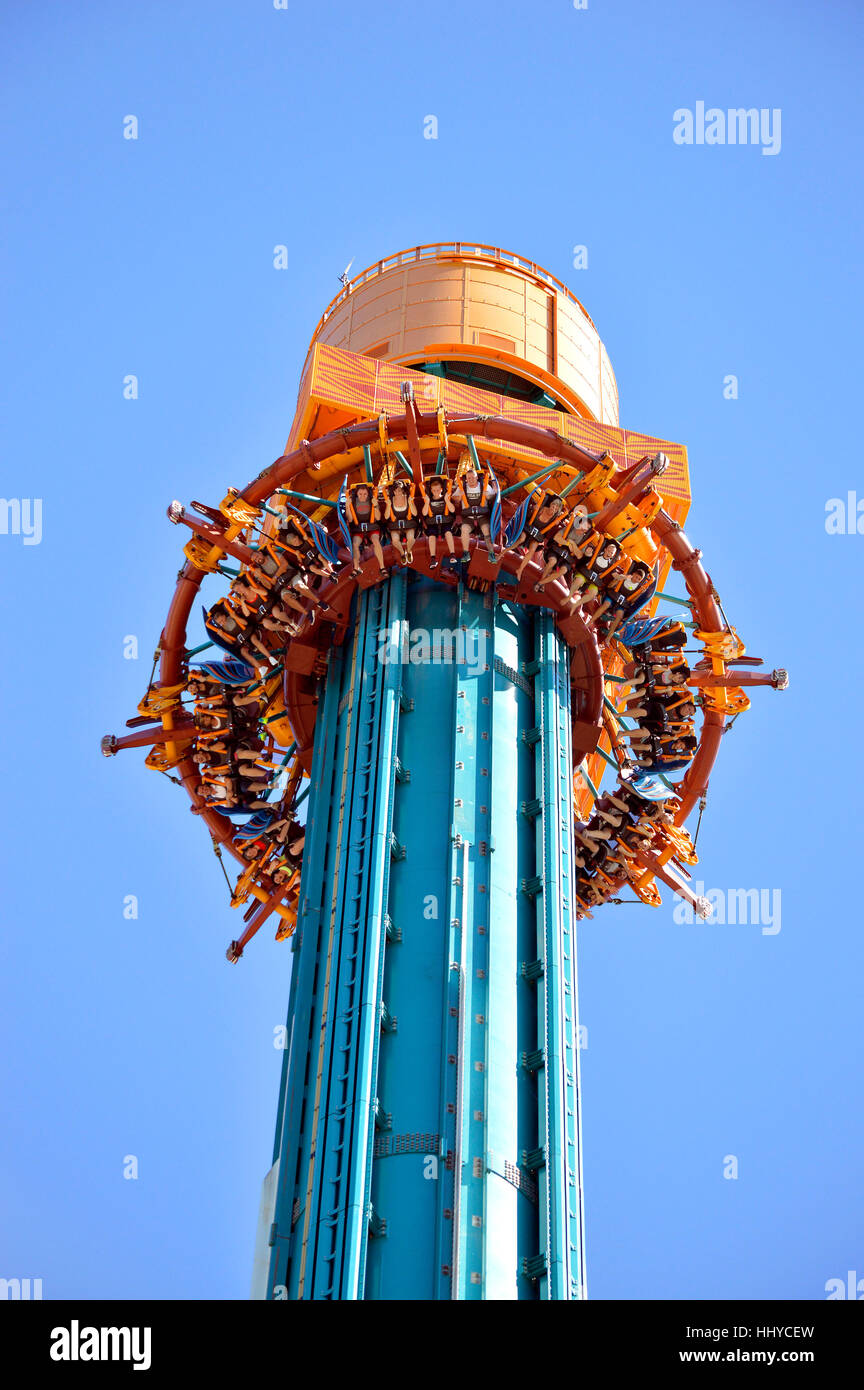 Les touristes à Falcon's fury drop tower à Busch Gardens Tampa Banque D'Images