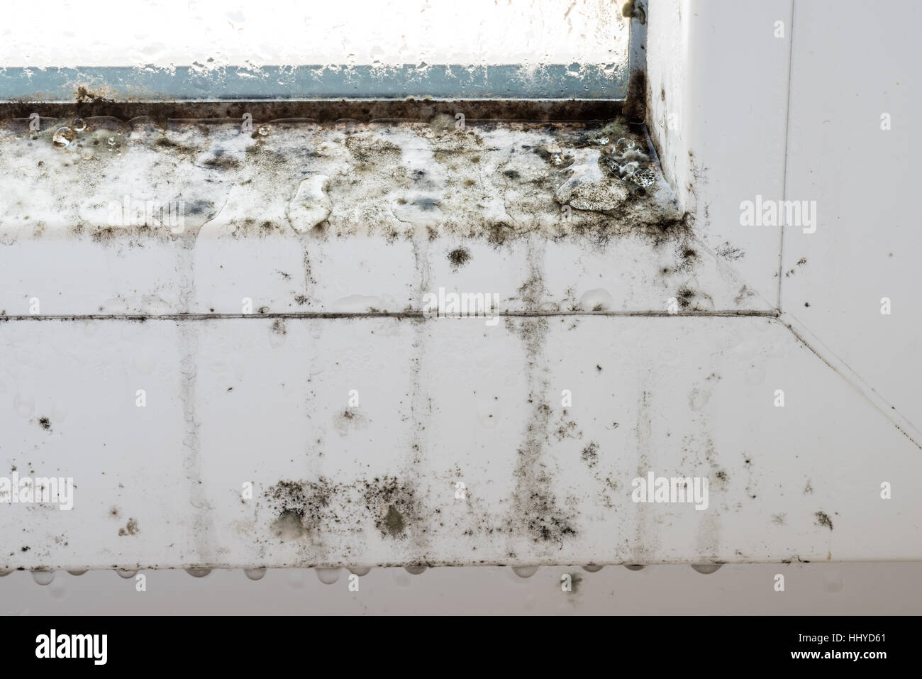 La moisissure sur les vitres en plastique moderne, moisissures, champignons, moisissures, réparation, house, la réparation, l'aération, malade, dangereux, pathogènes, la santé. Pas guérir Banque D'Images