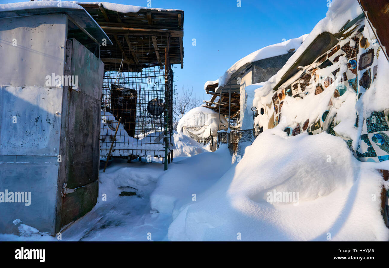 De belles couleurs dans l'hiver blanc et bleu Banque D'Images