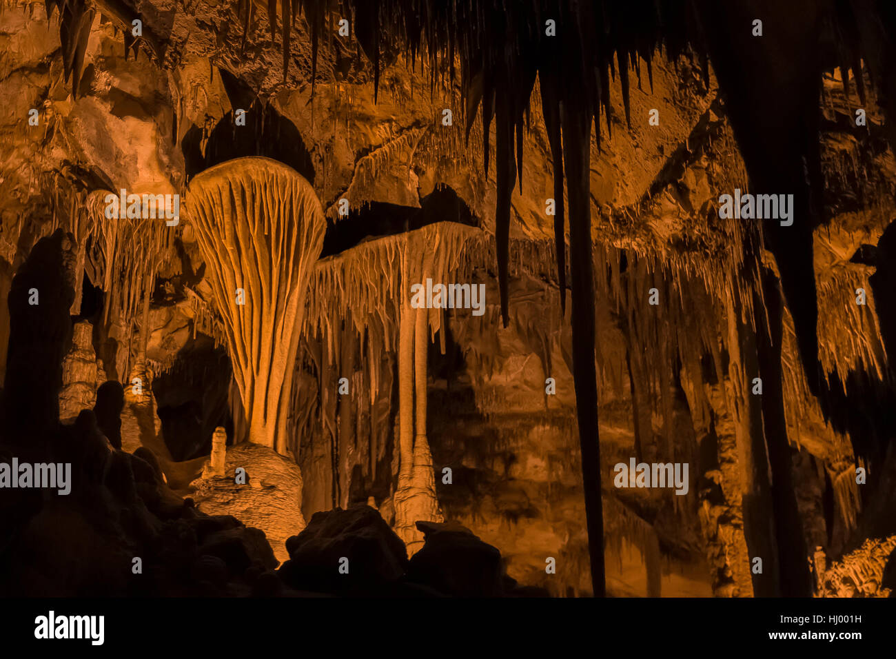 Le Parachute, une grotte formation du bouclier avec les tentures dans Lehman Caves dans le Parc National du Grand Bassin, Nevada, USA Banque D'Images