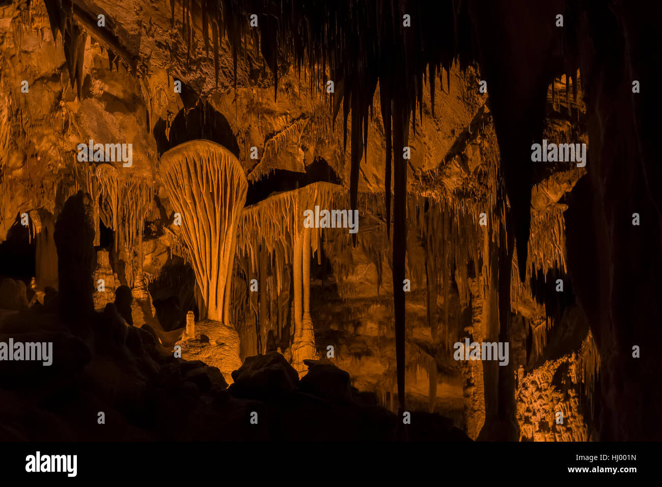 Le Parachute, une grotte formation du bouclier avec les tentures dans Lehman Caves dans le Parc National du Grand Bassin, Nevada, USA Banque D'Images
