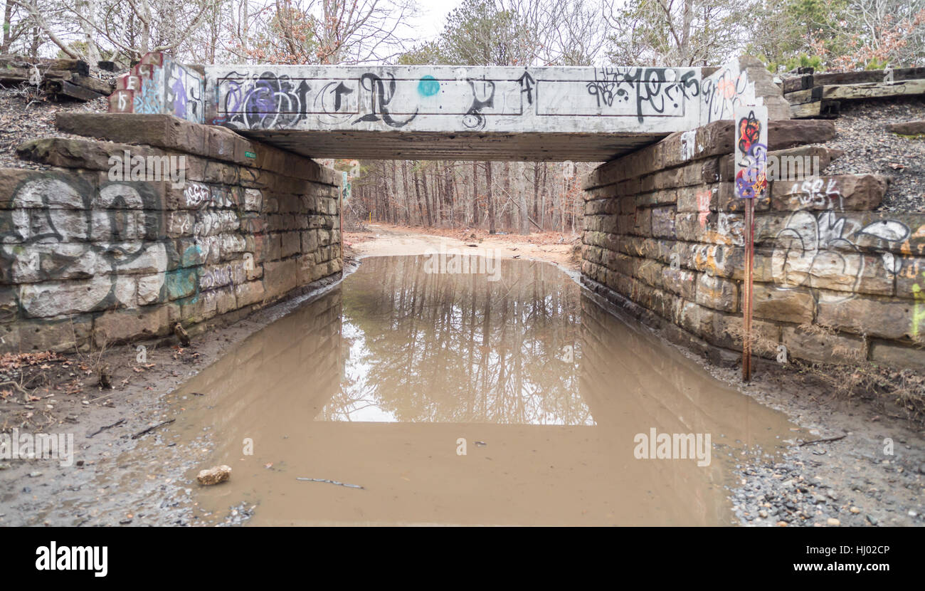 Vieux pont de chemin de fer couverts de graffitis avec chemin de terre sous Banque D'Images