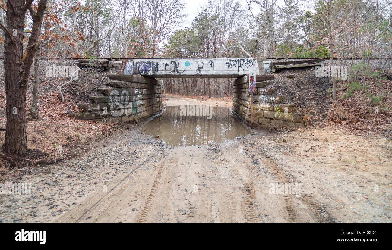 Vieux pont de chemin de fer couverts de graffitis avec un chemin de terre en dessous Banque D'Images