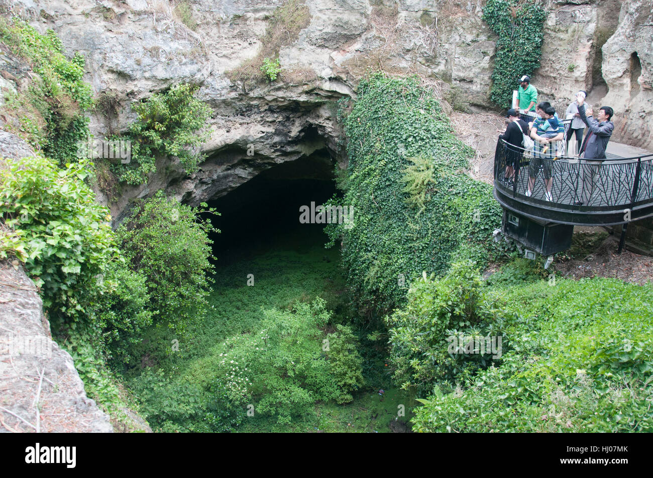 Umpherston Sinkhole (le jardin en contrebas) à Mt Gambier, le sud-est de l'Australie du Sud Banque D'Images
