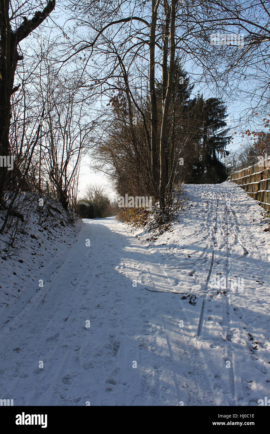 L'hiver, à pied, à droite, la neige, Carrefour, forêt, gauche, marcher, aller, aller, marcher, Banque D'Images