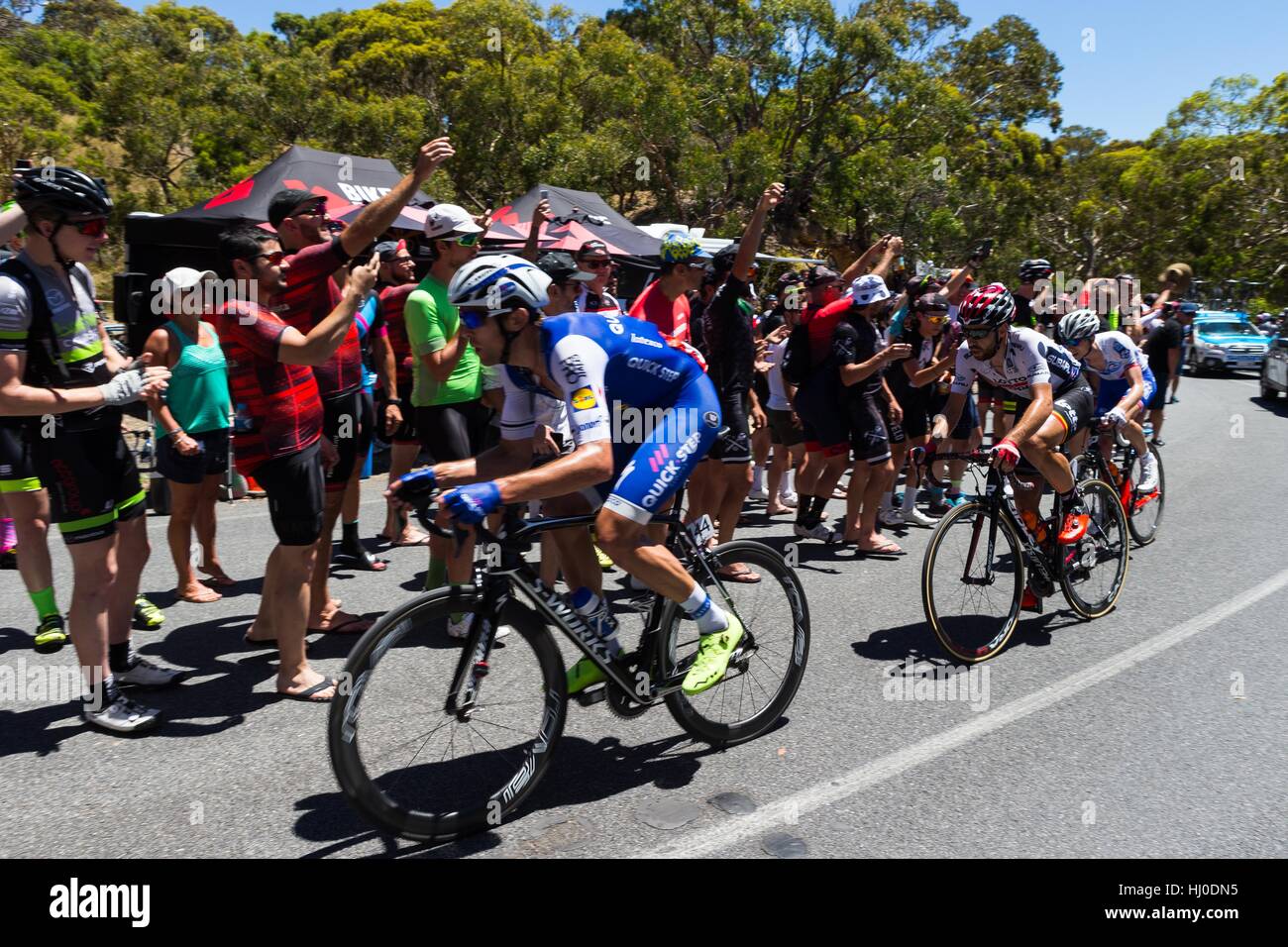 Adélaïde, Australie du Sud, Australie. 21 Jan, 2017. Conduire rider, Jack Bauer, Quick Step Parquet, école jusqu'Alan Jaume & Fils HillStage 5 du Tour Down Under, en Australie le 21 janvier 2017 Credit : Gary Francis/ZUMA/Alamy Fil Live News Banque D'Images