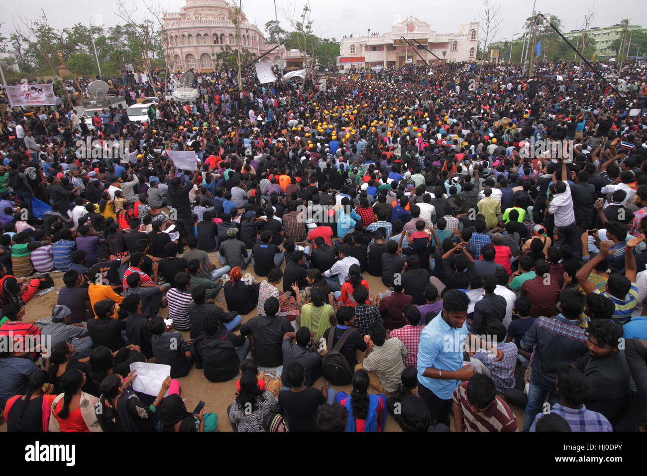 Chennai, Inde. 20 Jan, 2017. Les gens inscrivez-vous la protestation contre l'interdiction de la Cour suprême par Jallikattu à Chennai, Inde, le 20 janvier 2017. Levée de l'interdiction des manifestations exigeant sur Jallikattu, un sport tauromachie intensifié vendredi avec des foules de l'enflure dans le sud de l'état indien du Tamil Nadu pour la quatrième journée consécutive. Credit : Stringer/Xinhua/Alamy Live News Banque D'Images