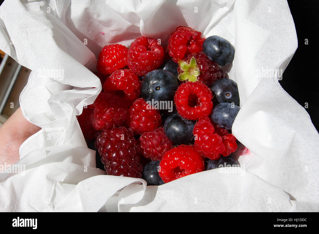 Bol de fruits d'été Banque D'Images