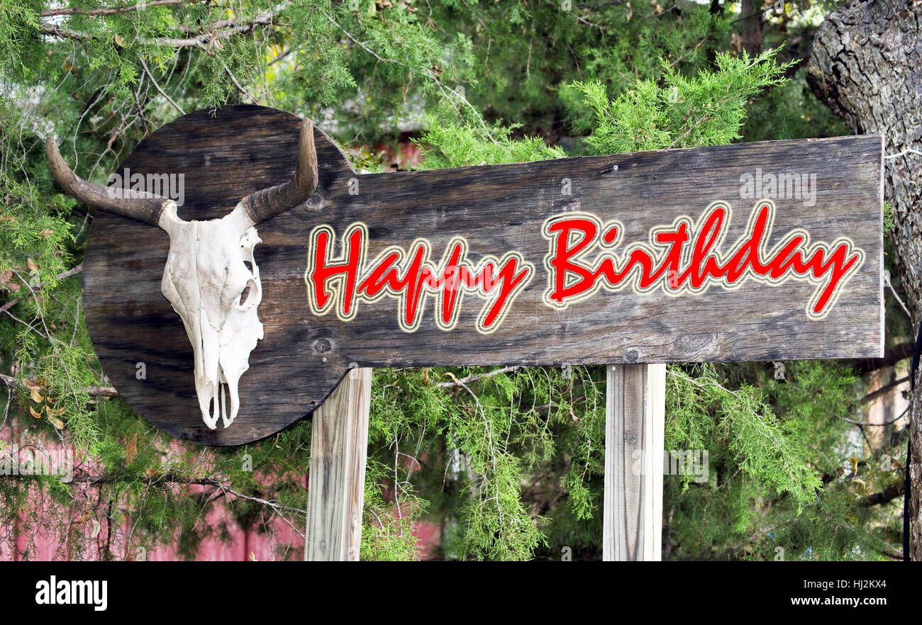 Joyeux Anniversaire Signe Avec De Vieux Crane De Vache Photo Stock Alamy Joyeux Anniversaire Signe Avec De Vieux Crane De Vache Photo Stock Alamy