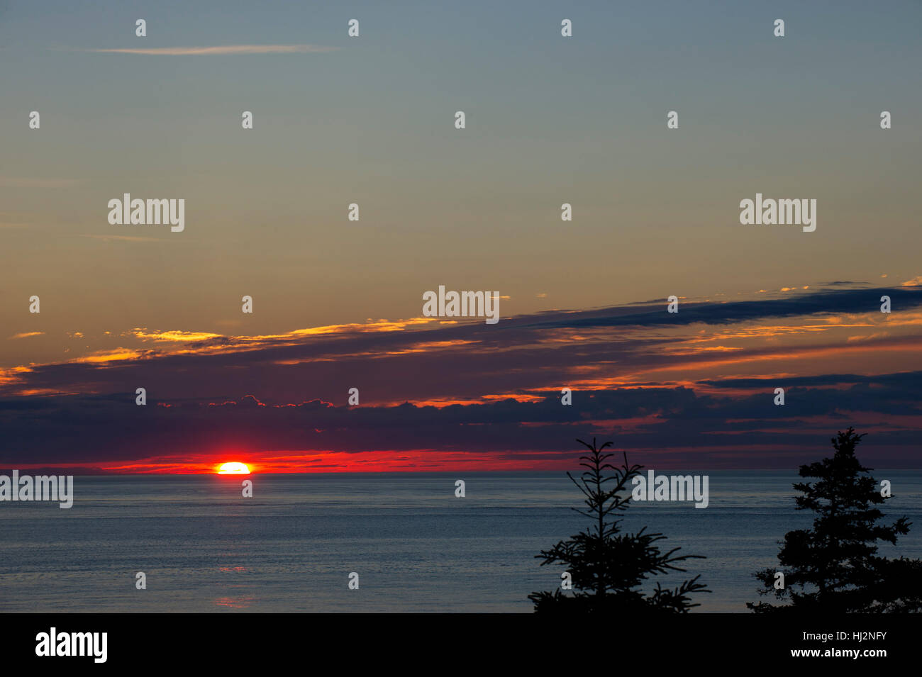Le soleil vient tout juste au-dessus de l'horizon sur l'océan Atlantique avec une paire d'arbres au premier plan. Banque D'Images