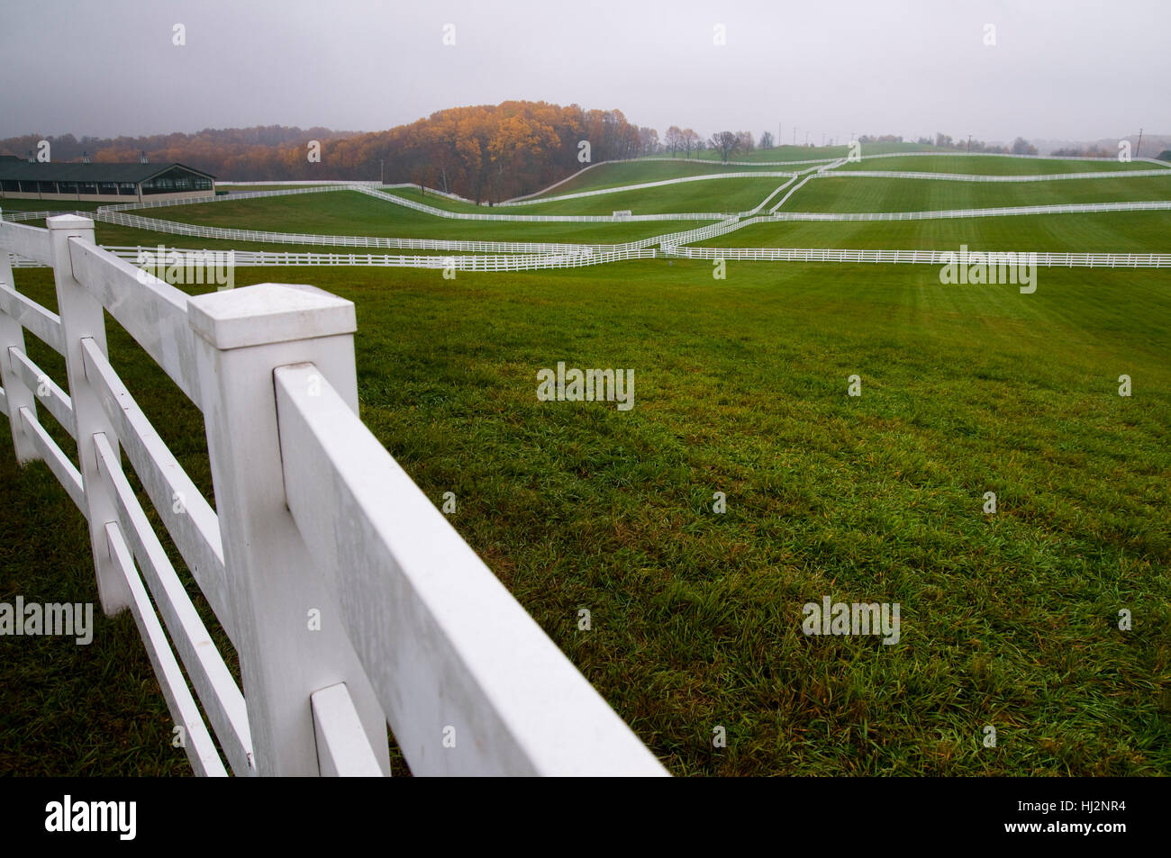 Un grand champ vert herbeux avec beaucoup de clôtures blanches un jour de pluie. Banque D'Images