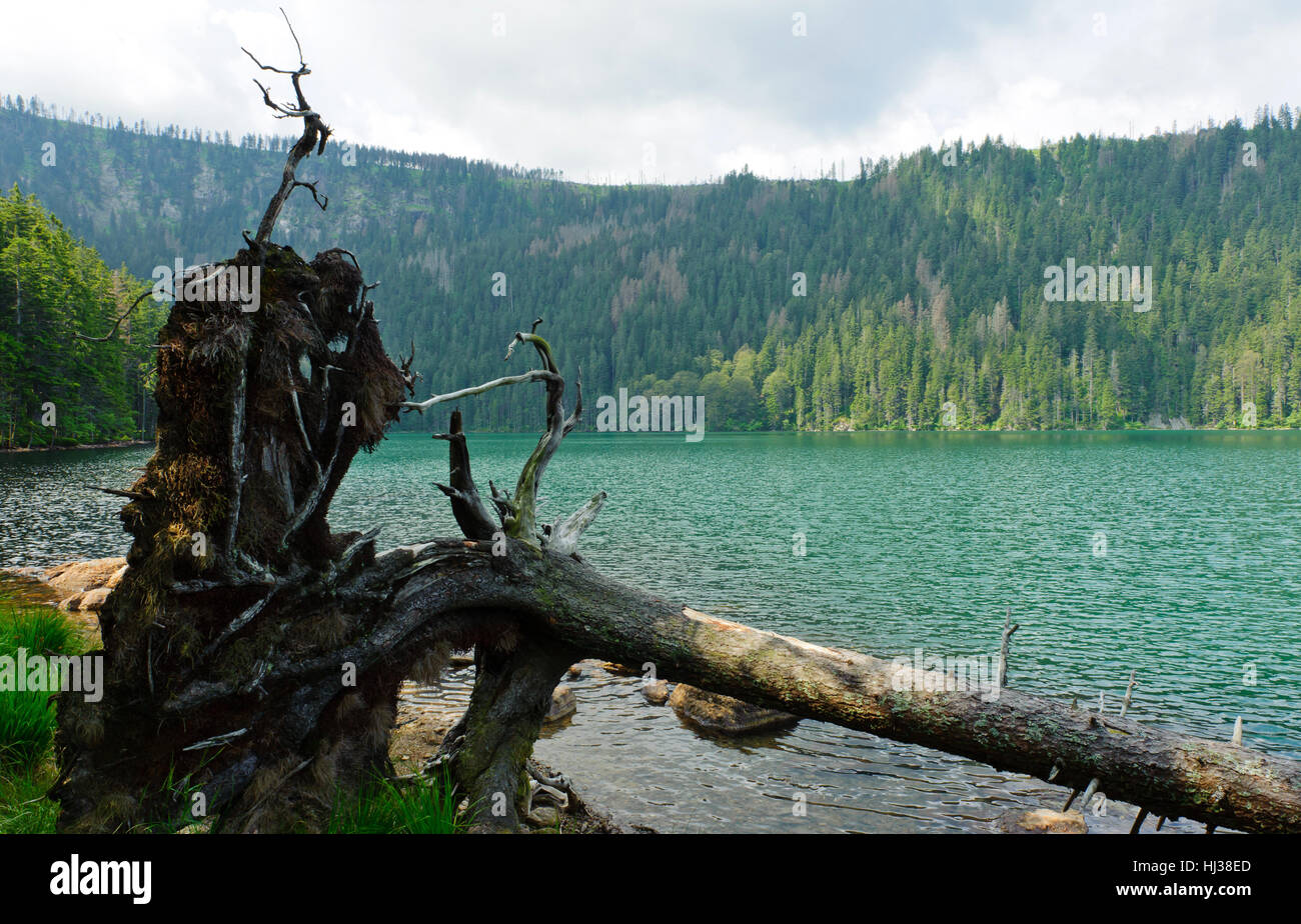 Noir, de teint basané, jetblack, noir profond, l'eau douce, le lac, la navigation intérieure, l'eau, Banque D'Images