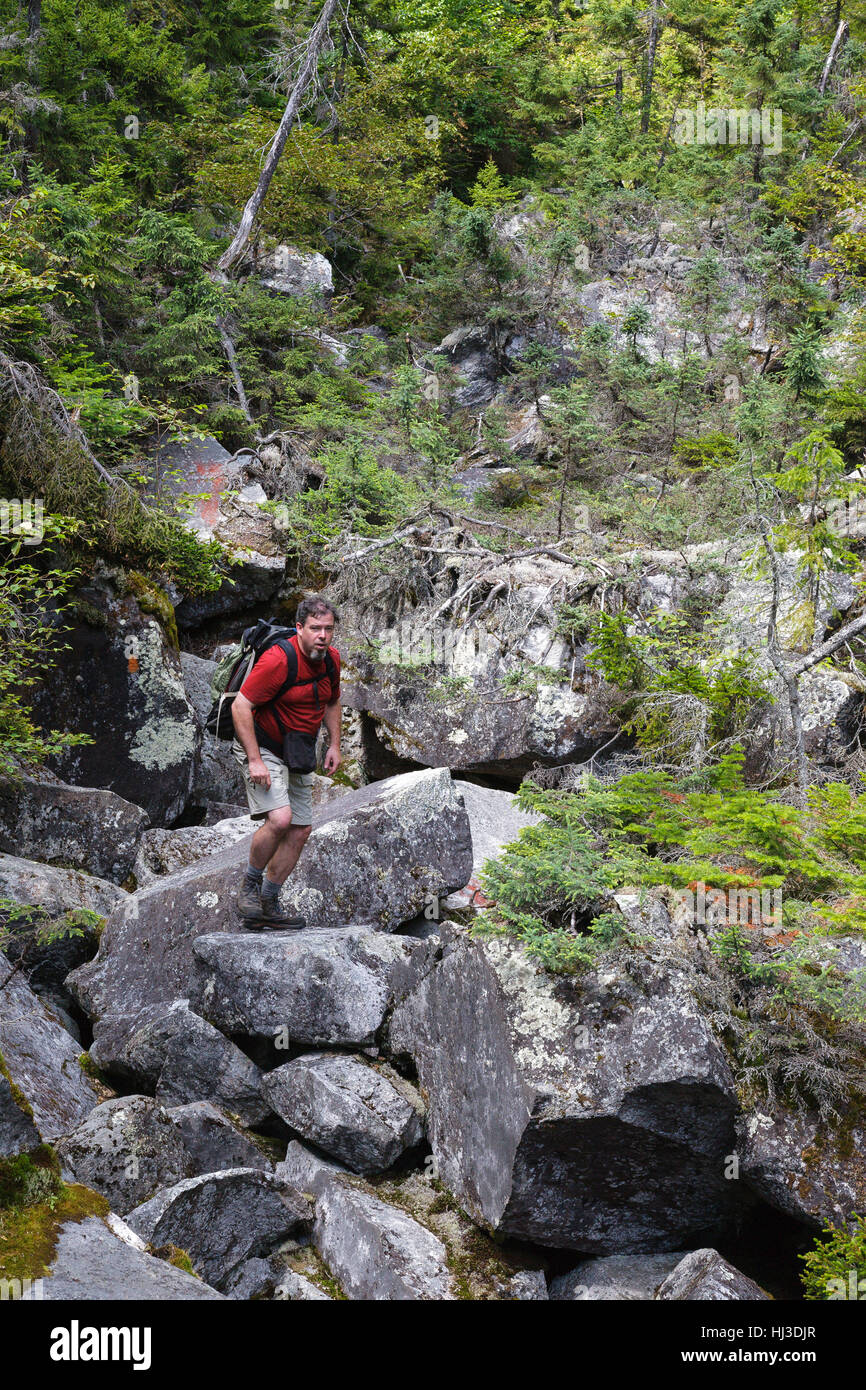 Ice Gulch - Un goût de glace le long du chemin du ravin de Randolph, New Hampshire pendant les mois d'été. Banque D'Images