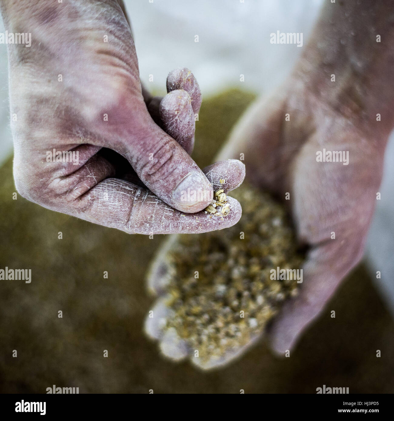 Différentes étapes de la distillation de gin en Écosse. Banque D'Images