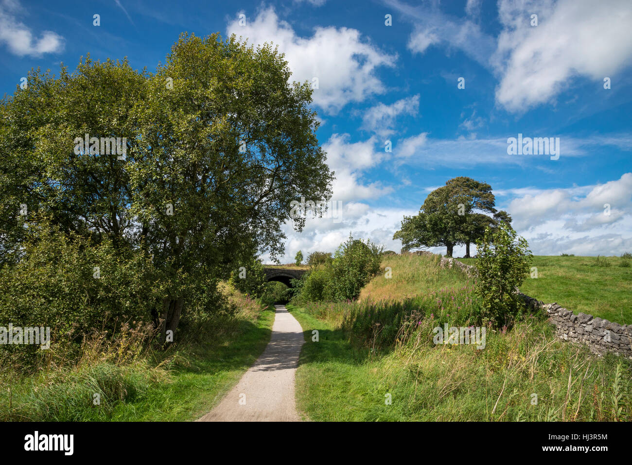 Le sentier près de Tissington Alsop-en-le-dale dans le parc national de Peak District, Derbyshire, Angleterre. Banque D'Images