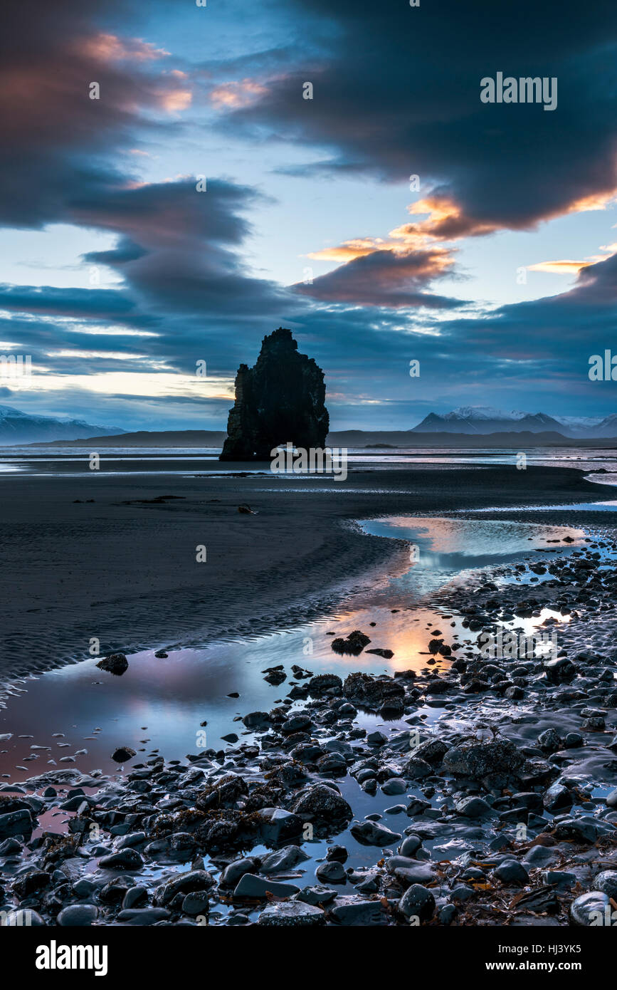 Un monument beach dans l'Islande a appelé le rocher Dinosaure dépasse 50 pieds hors de l'eau peu profonde au cours d'un lever tôt le matin. Banque D'Images