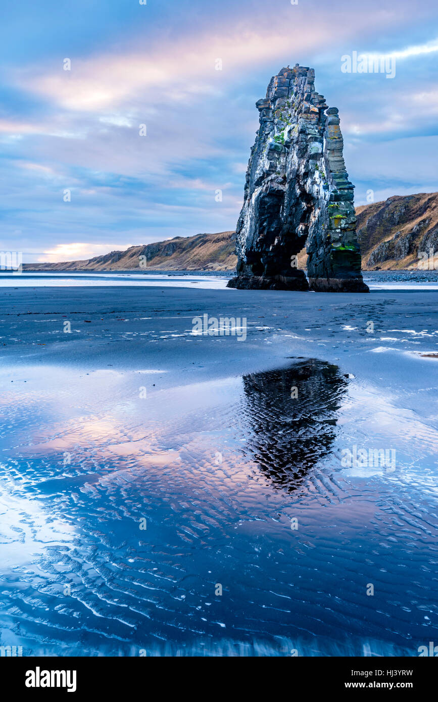 Un monument beach dans l'Islande a appelé le rocher Dinosaure dépasse 50 pieds hors de l'eau peu profonde au cours d'un lever tôt le matin. Banque D'Images