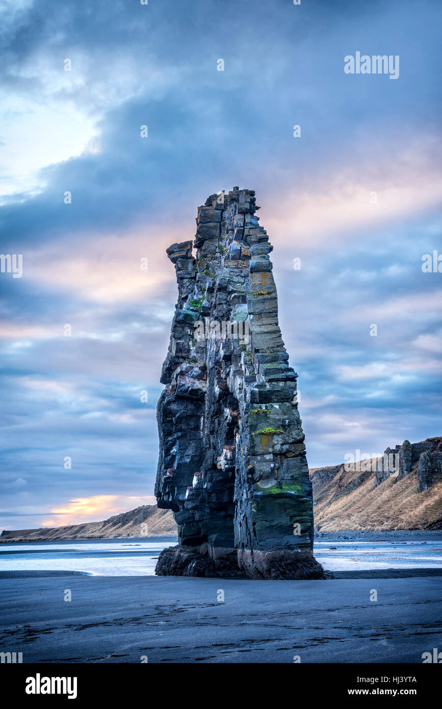 Un monument beach dans l'Islande a appelé le rocher Dinosaure dépasse 50 pieds hors de l'eau peu profonde au cours d'un lever tôt le matin. Banque D'Images