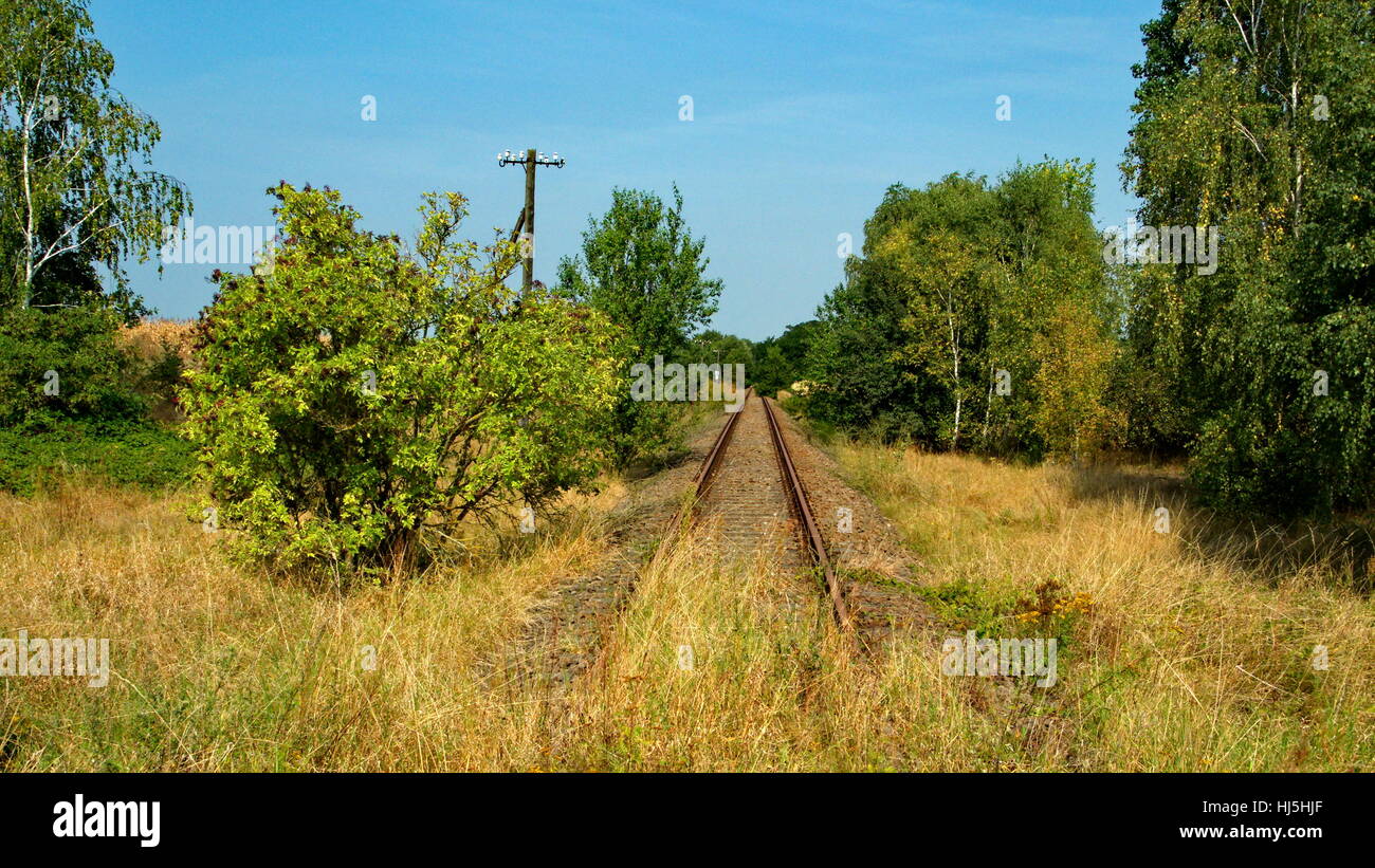 Ligne de chemin de fer abandonnée à dommitzsch Banque D'Images