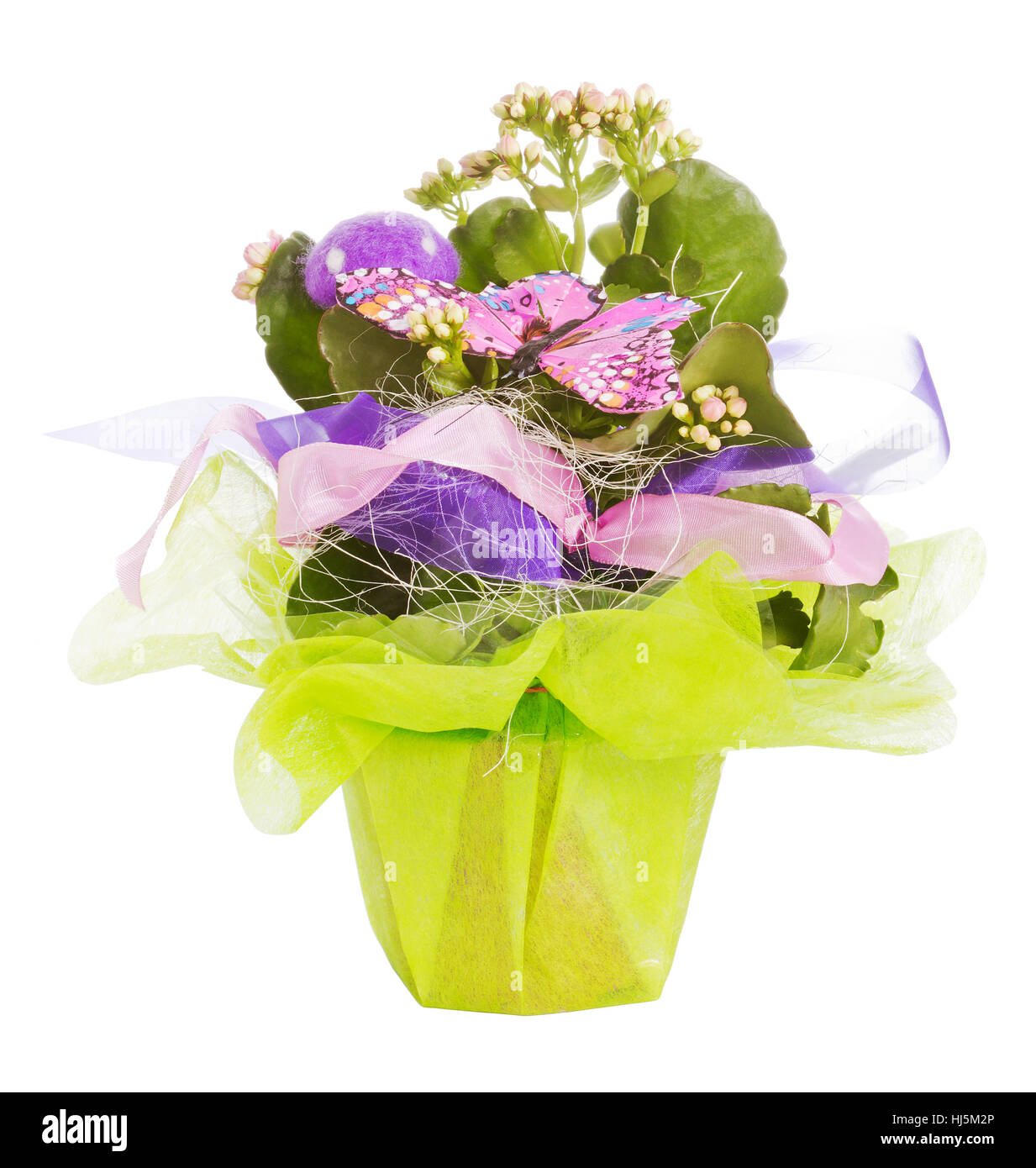 orpin Banque D'Images