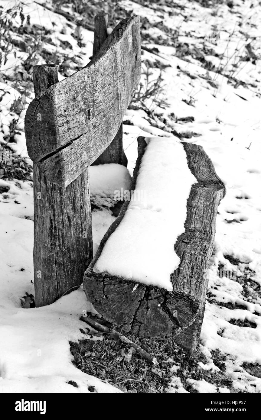 Banc de parc en hiver Banque D'Images