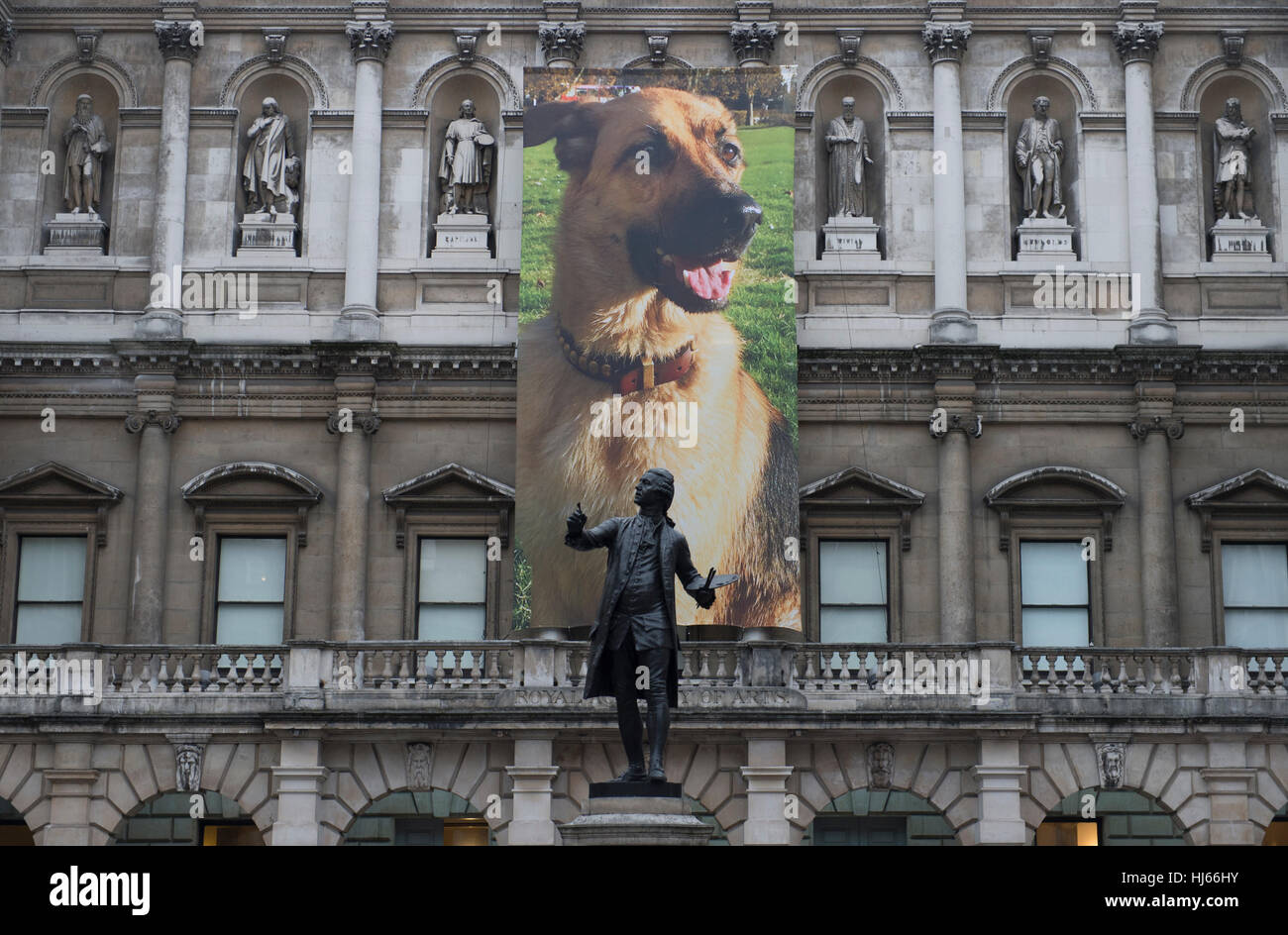 Royal Academy, Londres, Royaume-Uni. 26 janvier, 2017. Projets provisoires des primes est l'occasion de voir de nouveaux travaux par 13 étudiants de deuxième année à l'intervalle de leur études à l'Écoles RA, la plus ancienne école d'art. Berger Allemand de Burlington House, 11m d'impression bannière par Gina Fischli. © Malcolm Park editorial/Alamy Live News. Banque D'Images
