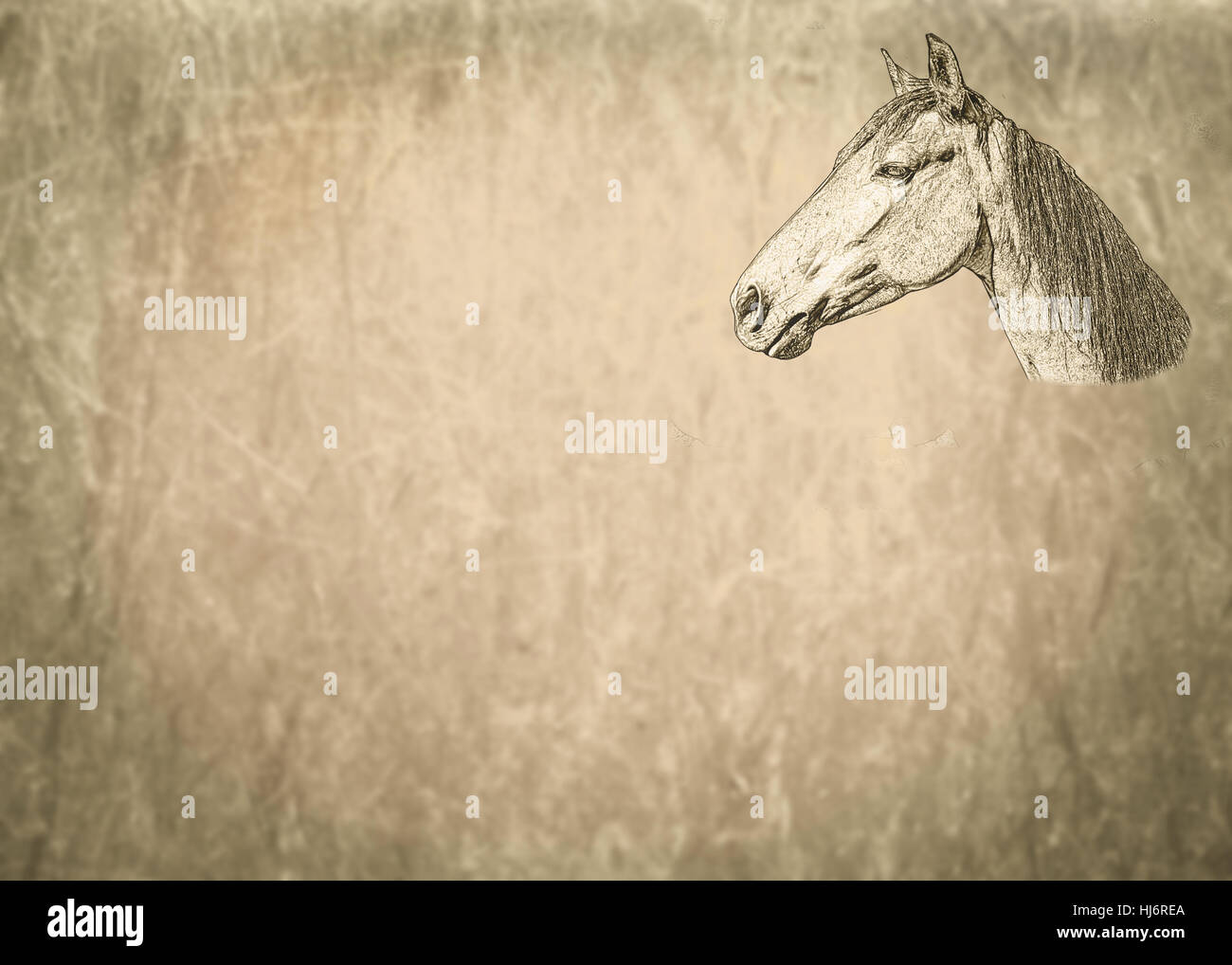 Horse, sépia, illustration, poney, copie, imitation, clichés, modèle, Banque D'Images