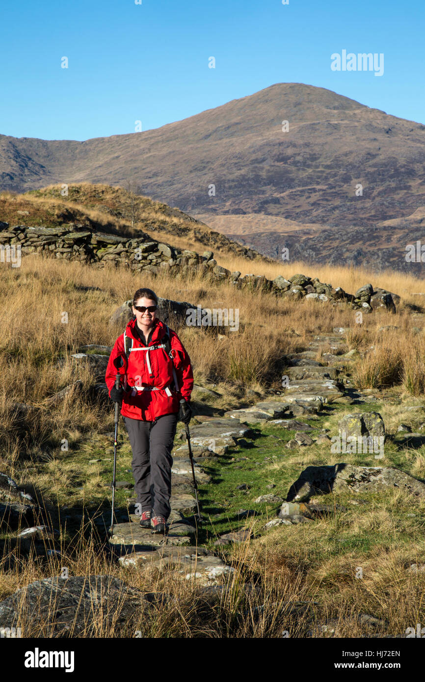 Lone female hiker dans le parc national de Snowdonia dans le Nord du Pays de Galles, portant une veste rouge. Banque D'Images