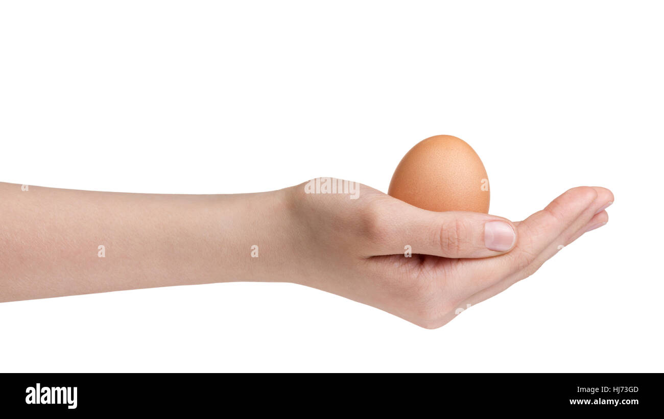 L'adolescence féminine hand holding brown chicken egg isolated on white Banque D'Images